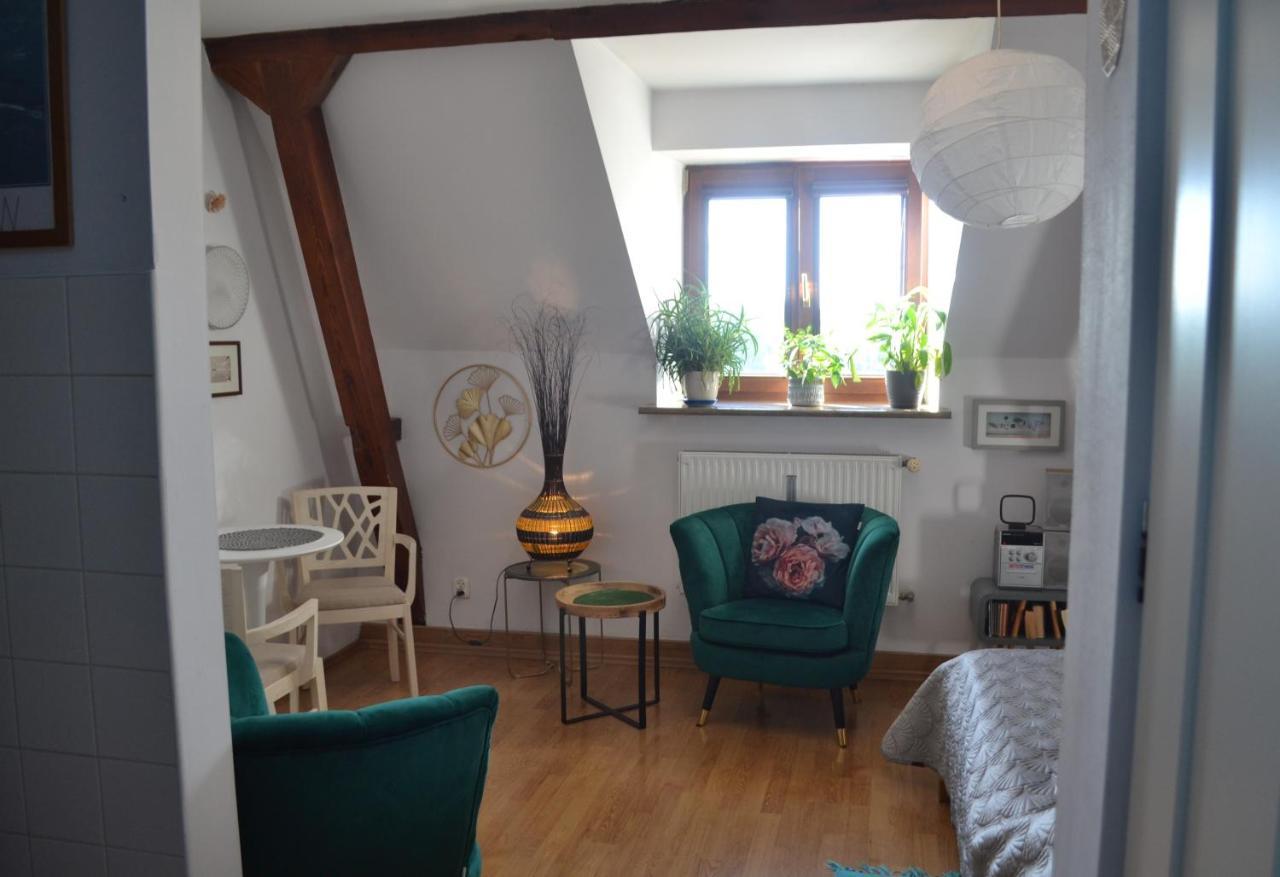 קרקוב Aloes Studio מראה חיצוני תמונה