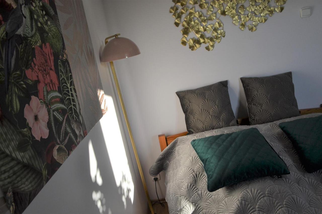 קרקוב Aloes Studio מראה חיצוני תמונה