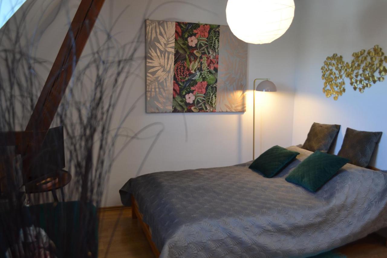 קרקוב Aloes Studio מראה חיצוני תמונה