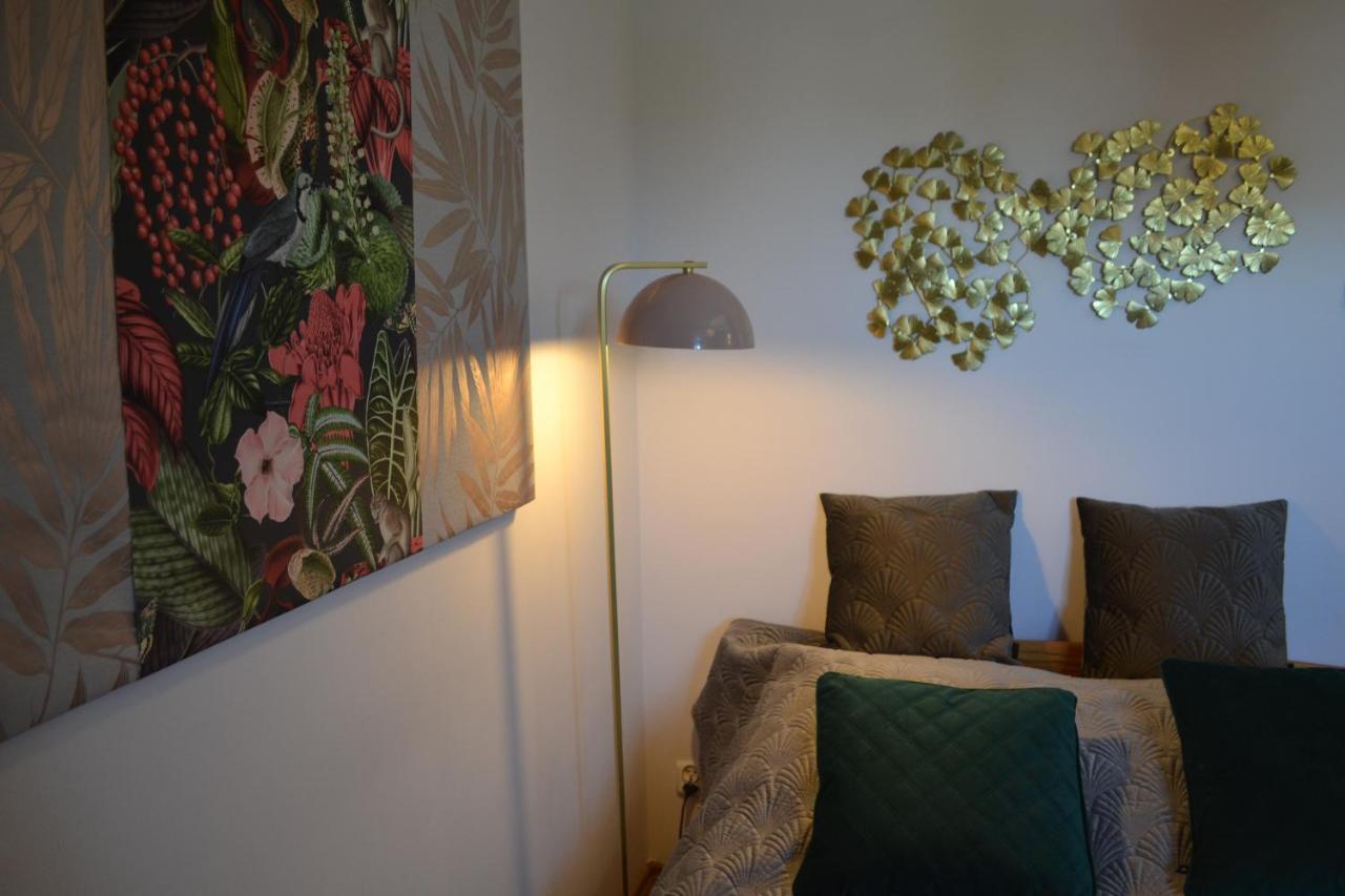 קרקוב Aloes Studio מראה חיצוני תמונה
