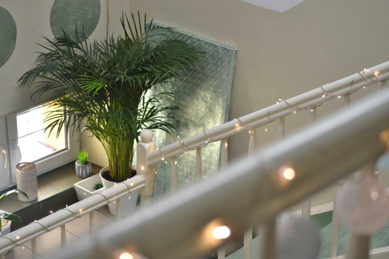 קרקוב Aloes Studio מראה חיצוני תמונה