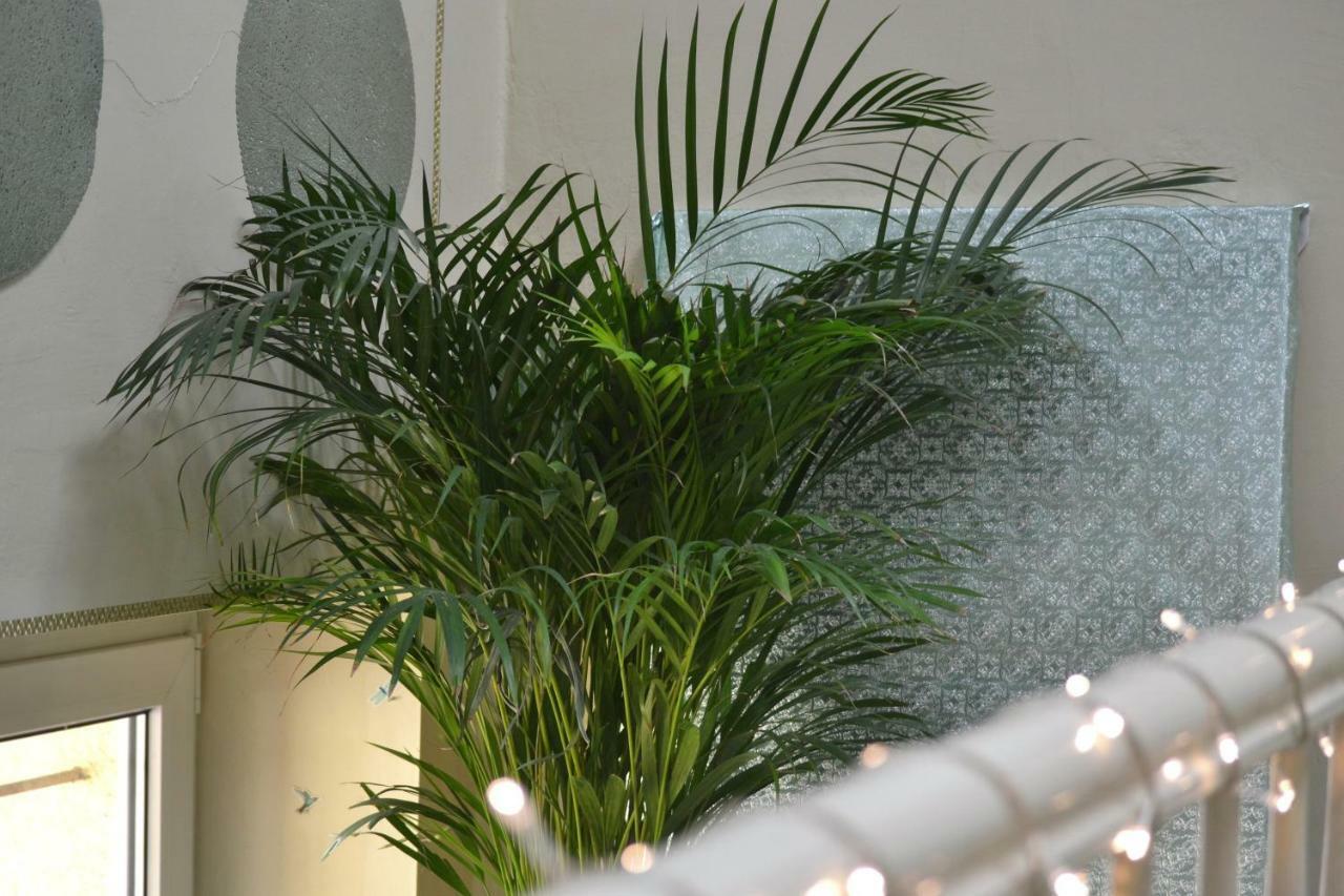 קרקוב Aloes Studio מראה חיצוני תמונה